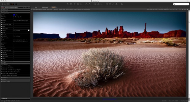 Phase One Media Pro - Einzelbildansicht mit Metadaten (Bild: Phase One)